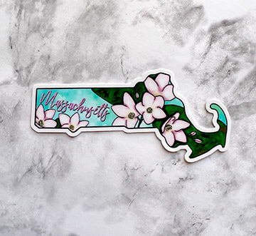 Massachusetts State Flower Sticker