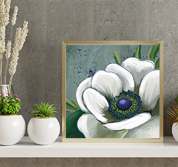 Sweet Anemone 12x12 Art Print