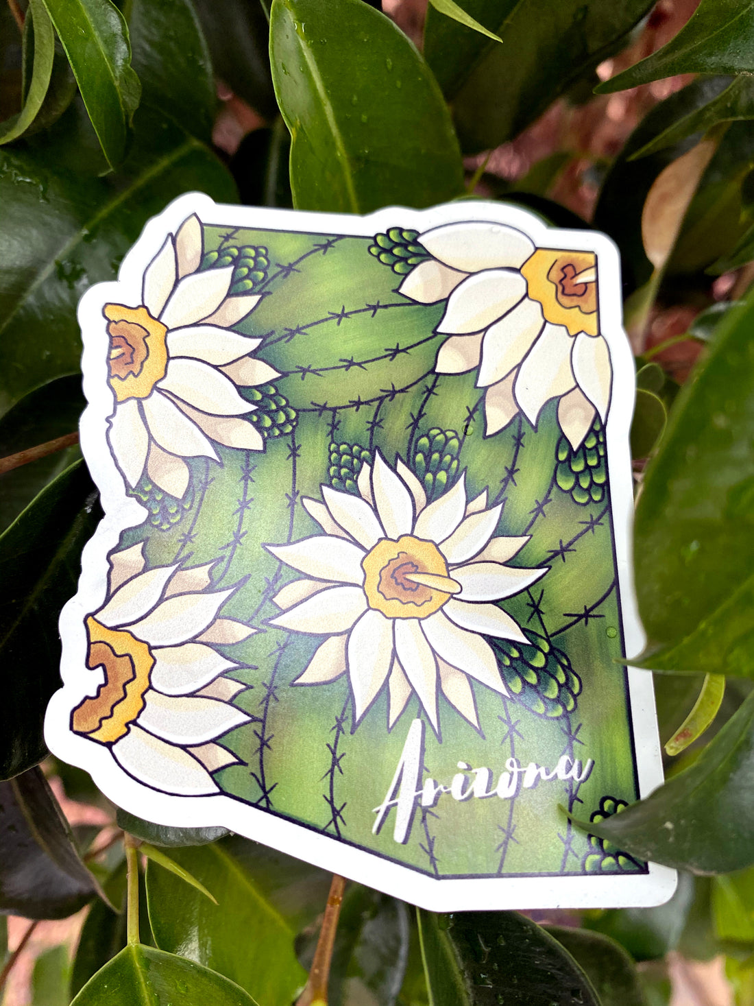 AZ State Flower Magnet