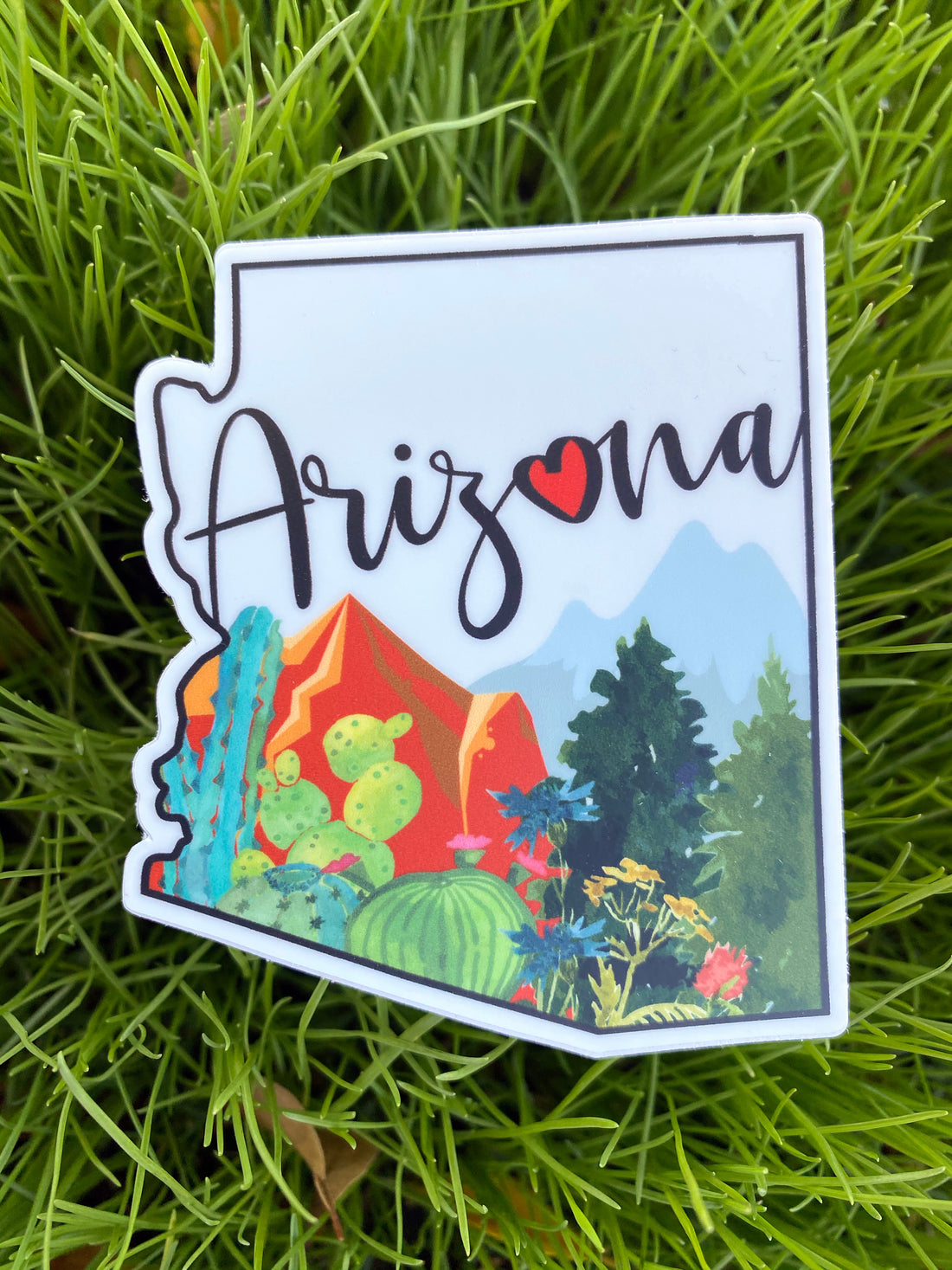 AZ More than Desert Sticker