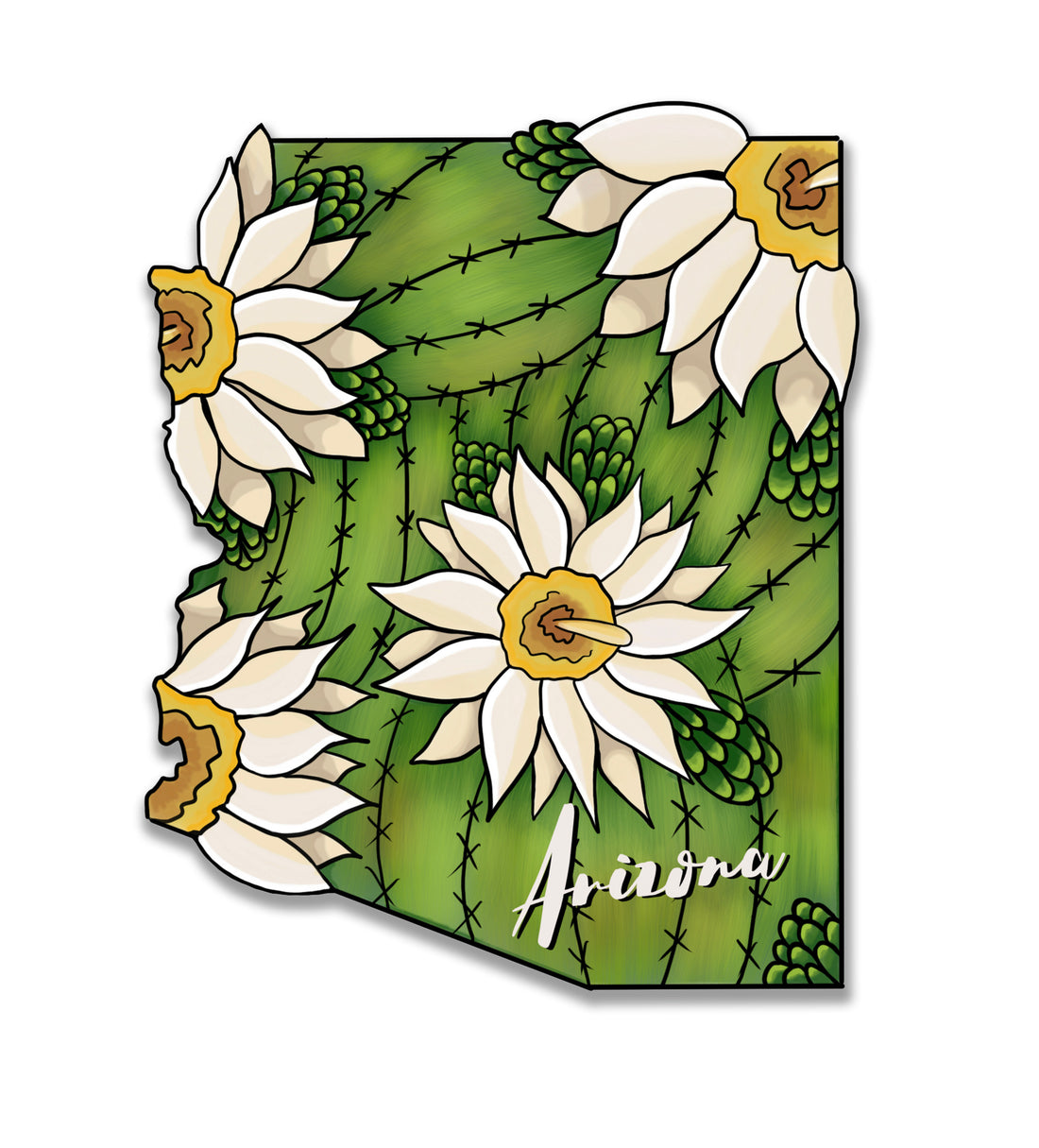 AZ Magnets